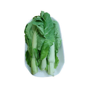 湖南新鲜蔬菜农家种植本地菜苔粗菜苔芽白菜苔叶子菜青菜下火锅