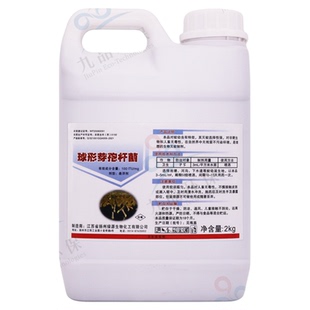 球形芽孢杆菌蚊子幼虫药除鱼缸鱼池塘水培植物灭蚊虫卵水池杀虫剂