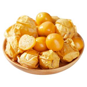 云南当季现摘菇娘果5斤包邮