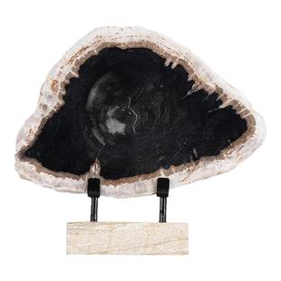 创意木化石切片桌面摆件简约现代天然原石摆设客厅办公室装饰品