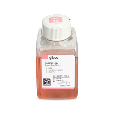 Gibco 31985-070 Opti-MEM I 减血清培养基（含L-谷氨酰胺）500ml