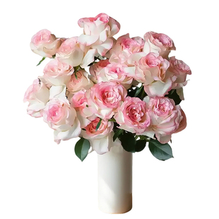 玫瑰花鲜花云南基地直发红玫瑰百合花康乃馨向日葵鲜切花生日礼物