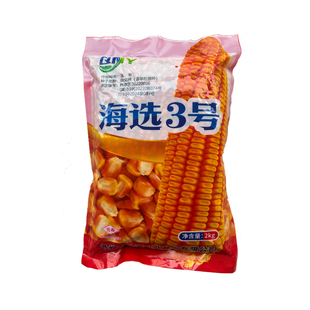 云南贵州中高海拔玉米种子海选3号玉米种子深马齿型大棒子2公斤装