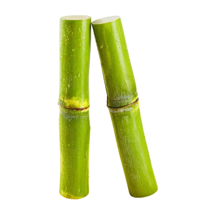 陶山甘蔗精品一果节5斤3斤顺丰