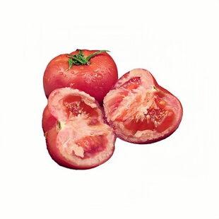 沙瓤老品种普罗旺斯番茄苗秧苗带土大粉水果番茄西红柿种子苗盆栽