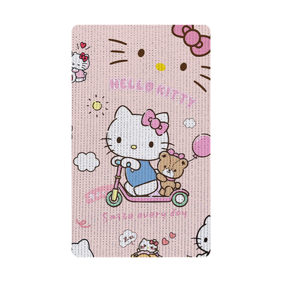 适用九号FZ1丝圈脚垫高清防水