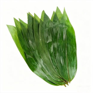 粽叶新鲜粽子叶大号包粽子专用旗舰店端午节特大野生粽叶商用批发
