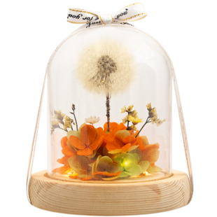 发光的真蒲公英小夜灯摆件永生花束女生日礼物干花中秋节伴手礼品