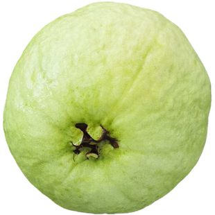 福建软糯软心芭乐5斤水果漳州当季奶油番石榴新鲜巴乐果整箱脆甜