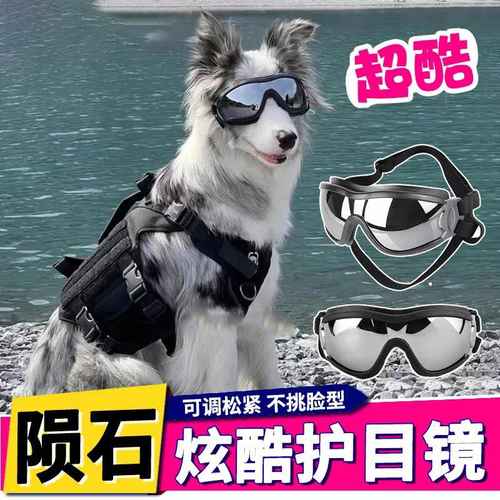 陨石边牧专用狗狗眼镜小狗配饰护目镜滑雪墨镜大型犬宠物外出用品