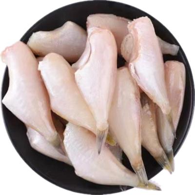 扒皮鱼广西北海耗儿鱼火锅食材