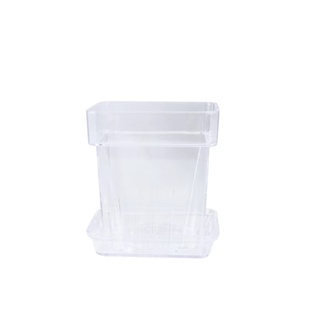 识兰新款蝴蝶兰专用桌面观根简约方形塑料花盆透明透气壁挂带侧孔