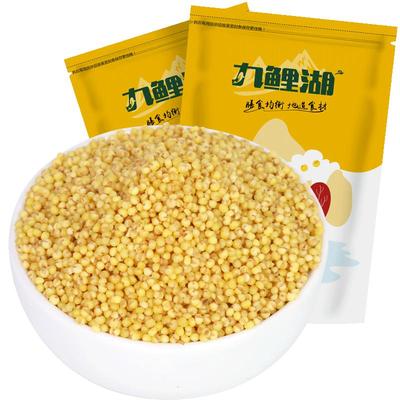双层真空包装山西黄小米