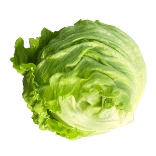 【千牛优福】球生菜3-5斤装汉堡生菜轻食沙拉煎饼食材新鲜蔬菜