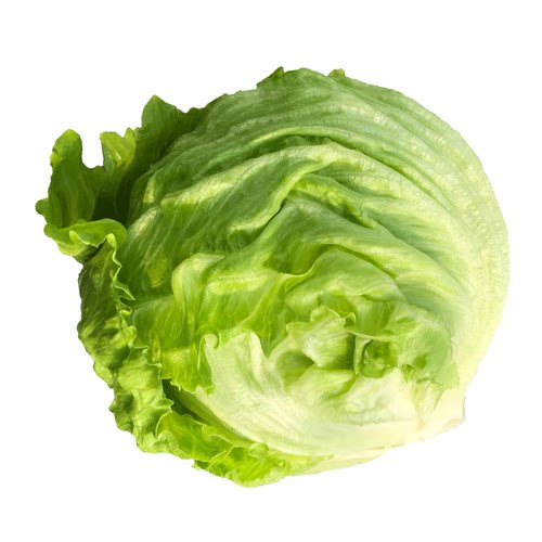 【千牛优福】球生菜3-5斤装汉堡生菜轻食沙拉煎饼食材新鲜蔬菜