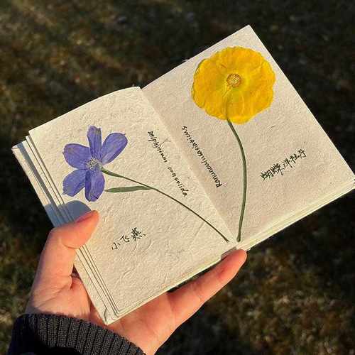 植物压花手账本尼泊尔手工本干花diy材料包标本册创意复古笔记本