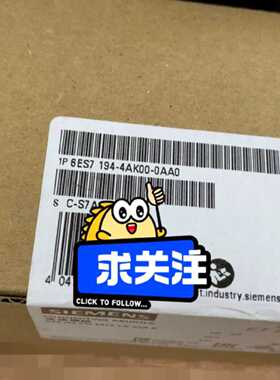 议价6ES7 194-4AK00-0AA0 S年 原装原