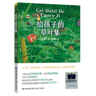 【官方正版】给孩子的草叶集 给孩子的昆虫集 飞鸟集 巩儒萍著 百班千人推荐一二三四年级阅读课外书小学生书籍 6-7岁读物儿童诗歌