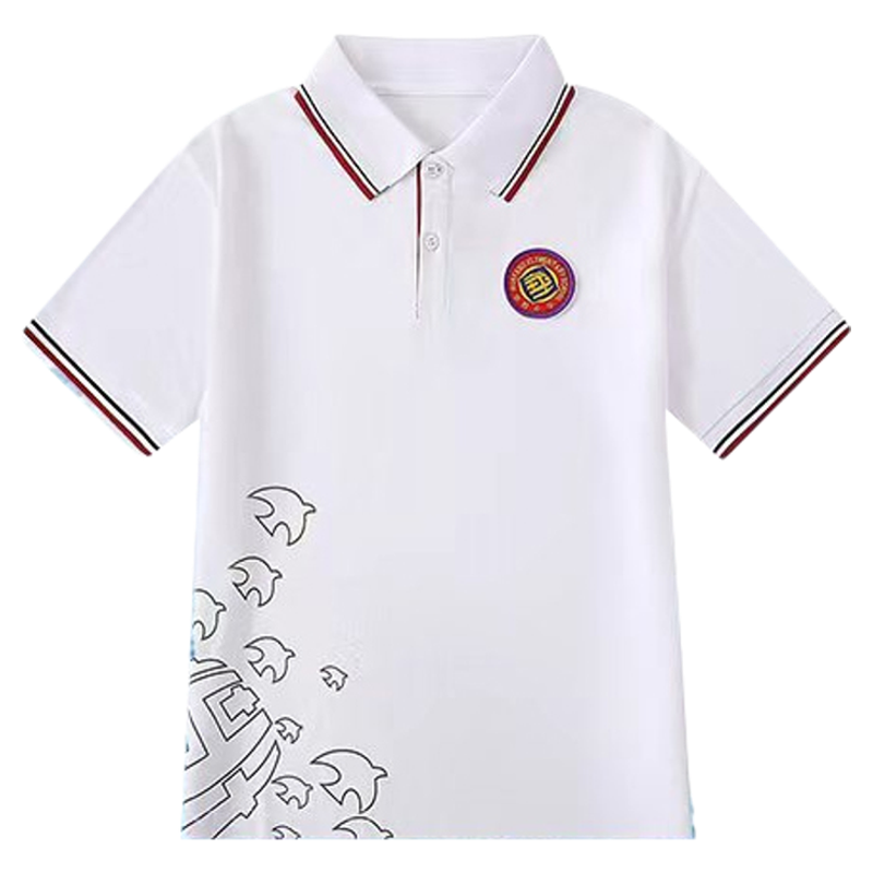 【华阳/奥体东小学】精梳棉 校服2025新升级男女同款夏季速干校服