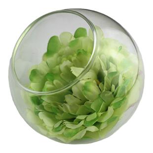 微景观景观斜口玻璃瓶多肉花瓶苔藓容器生态瓶空瓶玻璃缸景观瓶