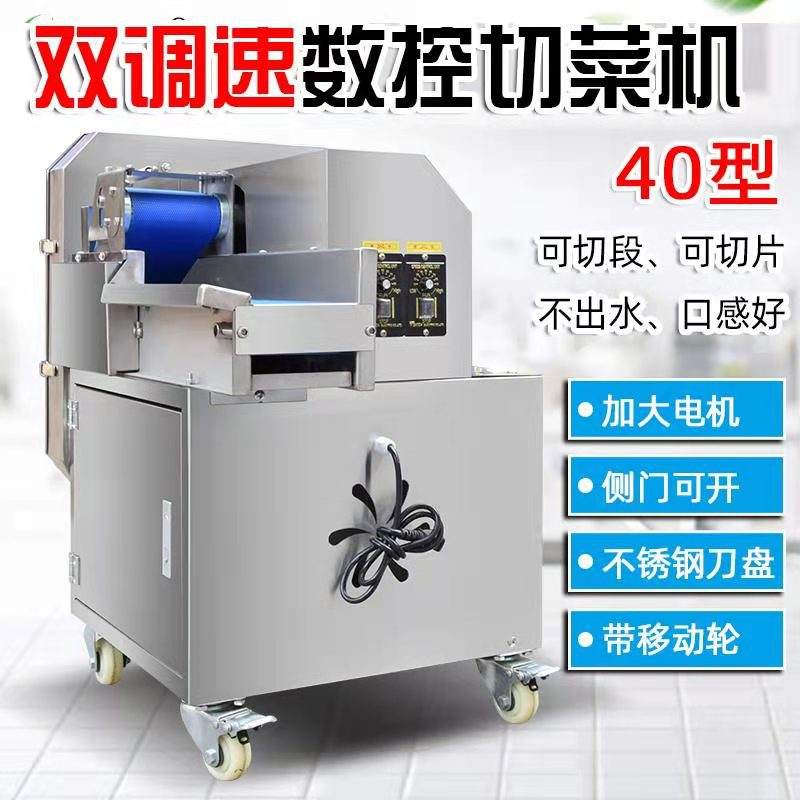 新款直销商用大型切菜机切酸菜机切大葱切白菜丝切萝卜片切大黄片