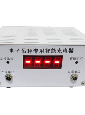沃众智能原装充电机6V吊秤