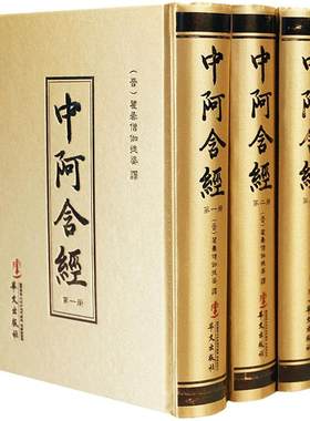 中阿含经(繁体竖排版全3册)四阿含经之一 南传阿含经 华文出版社