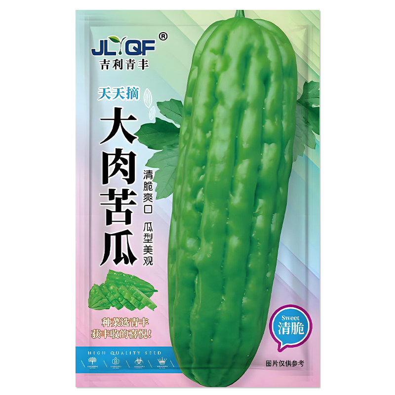 大肉苦瓜种子长绿苦瓜籽