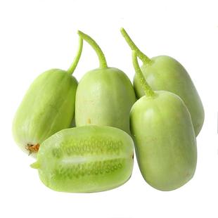 八方美 玉女黄瓜水果小黄瓜新鲜拇指黄瓜生吃青瓜蔬菜现摘