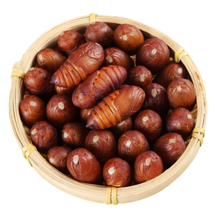 东北特产大黑蚕蛹柞蚕蛹二黄鲜活蚕蛹大茧蛹子蝉蛹油炸下酒菜包邮