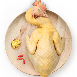 金润源长汀河田鸡农家散养小雄鸡公鸡新鲜现杀走地鸡土鸡草鸡笨鸡