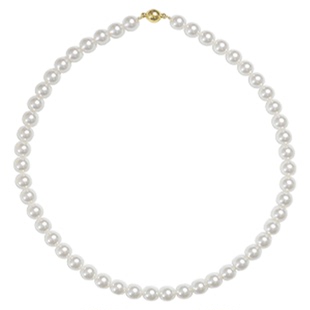 「lady」施家珍珠磁吸扣项链女款小众颈链大气锁骨链春夏精致百搭