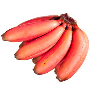 红美人香蕉10斤当季水果现摘小香焦新鲜红皮芭蕉米蕉批发整箱包邮