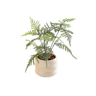 仿真绿植假花仿真花桌面小盆栽植物装饰摆件书柜仿生绿植拍摄道具