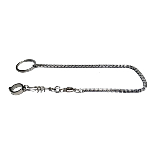 鹦鹉脚环脚链不锈钢鸟链子虎皮八哥牡丹玄凤鸟放飞绳站架鸟链用品