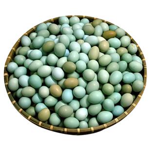 顺丰包邮丨40枚绿壳山鸡蛋8枚新鲜乌鸡蛋20枚正宗农村土鸡蛋60枚