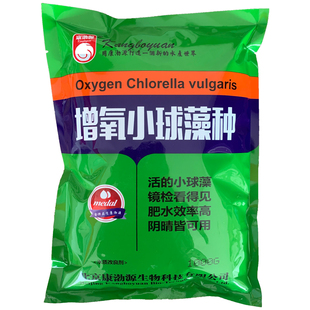 水产养殖小球藻藻种硅藻源虾蟹鱼塘复合藻种肥水净水浓缩小球藻种
