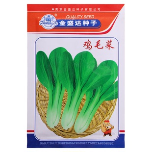 速生鸡毛菜种子四季播种20天可吃简单易种小青菜种籽鸡毛蔬菜种孑