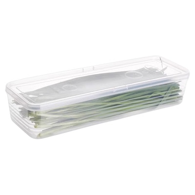 保鲜盒食品级大葱香菜芫荽整根