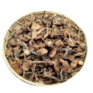 榛蘑东北野生蘑菇榛蘑干货500g包邮小鸡炖蘑菇无根榛蘑丁新货