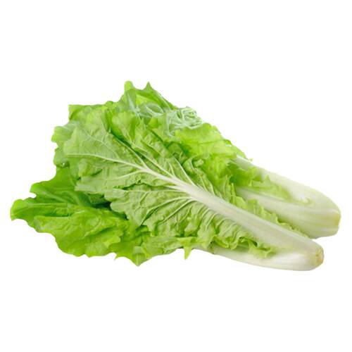 四季小白菜快菜可食用盆栽春夏秋冬菜园农家适合新手蔬菜种子籽孑