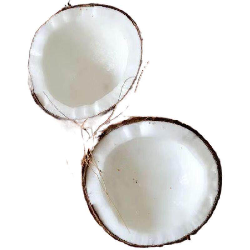海南新鲜椰子去皮毛椰子榨椰汁