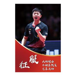 乒乓球室装饰画明星运动员激励志标语宣传海报体育馆文化墙贴挂画