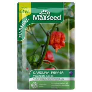 【掌柜推荐】超变态辣卡罗莱纳卡罗来纳死神龙息蝎子辣椒种子孑苗