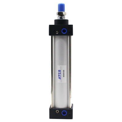 SCD/SCJ/300S带磁气缸