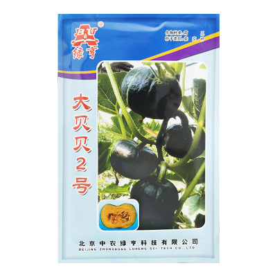 绿亨正品大贝贝2号南瓜种子