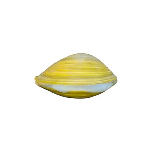 鱼缸专吃鱼屎粪便冷水观赏淡水鱼热带鱼清理清道夫鱼净水黄金河蚌