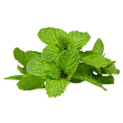 顺丰包邮新鲜发货新鲜薄荷滇肴记