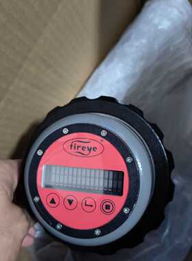 Fireye 95DSS3-1WINC一个，高级火焰检测—议价