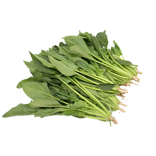 有机菠菜新鲜绿叶菜大叶红根菠菜小青菜涮火锅凉拌健康无农残蔬菜